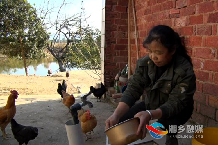 在泉塘镇花西村，村民谭湘柳正在用自来水淘米。.png